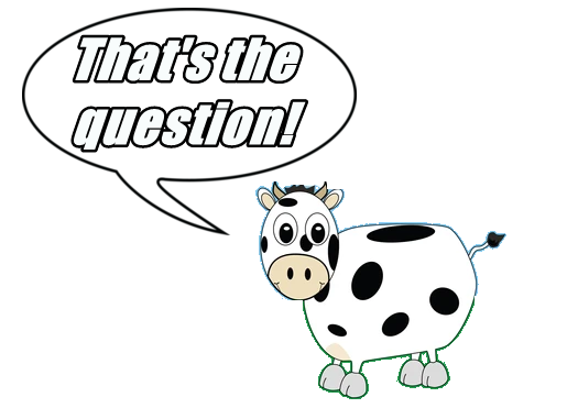 That's rhe Question!